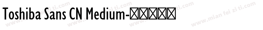 Toshiba Sans CN Medium字体转换